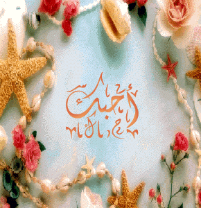 ohiboka  ya3aicha